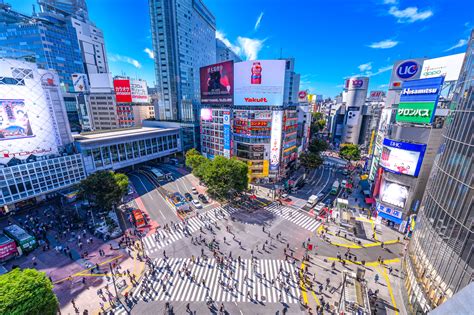 Shibuya city - Official Street Go-Kart in Shibuya. 681. Go Kart. 60–90 minutes. You will drive our karts through the famous Shibuya Crossing dressed up in character costume from Comics, Games or Anime…. Free cancellation. Recommended by 99% of travelers. from. $102.